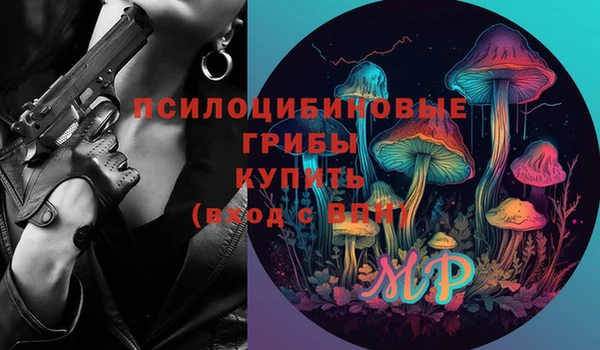 хмурый Осинники