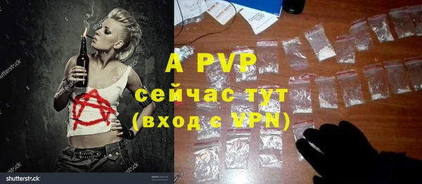 стаф Абинск