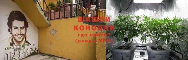 трава Абаза