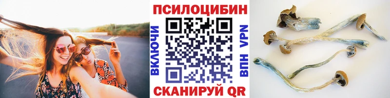 где можно купить   Моршанск  мега сайт  Псилоцибиновые грибы ЛСД 