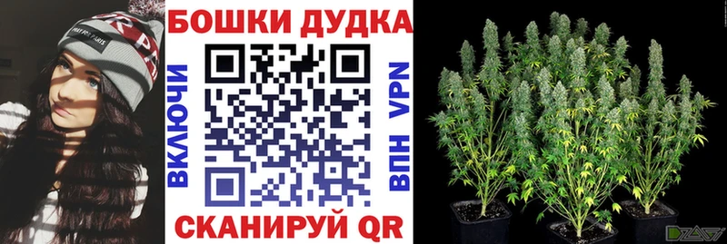 ОМГ ОМГ зеркало  Моршанск  Канабис Bruce Banner  где найти наркотики 